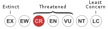 Schizolaena raymondii threat status: Critically Endangered