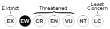 Encephalartos woodii threat status: Extinct in the Wild