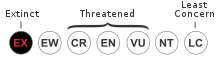 Flabellidium spinosum threat status: Extinct