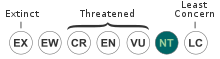 Weinmannia paitensis threat status: Near Threatened