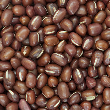 Vigna angularis unspecified picture