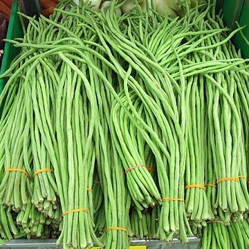 Vigna unguiculata subsp. sesquipedalis unspecified picture