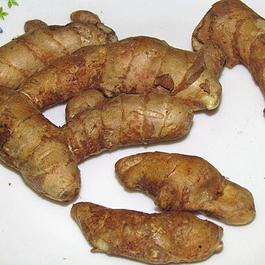 Curcuma amada unspecified picture