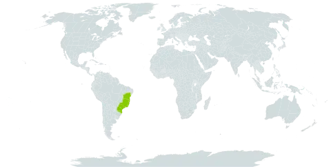 Abarema brachystachya world distribution map, present in Brazil