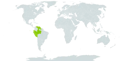 Abarema floribunda world distribution map, present in American Samoa, Brazil, Ecuador, Guyana, Peru, and Venezuela (Bolivarian Republic of)