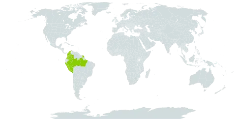 Abarema laeta world distribution map, present in American Samoa, Brazil, Colombia, French Guiana, and Peru