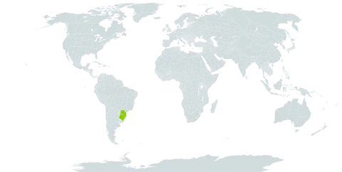 Abatia angeliana world distribution map, present in Argentina and Brazil