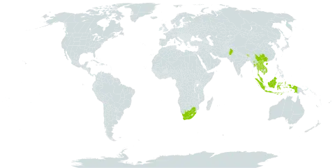 Abelmoschus crinitus world distribution map, present in Bhutan, China, Indonesia, Cambodia, Lao People's Democratic Republic, Myanmar, Malaysia, Nepal, Pakistan, Philippines, Thailand, Viet Nam, and South Africa