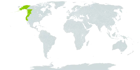 Abies amabilis world distribution map, present in Canada and United States of America