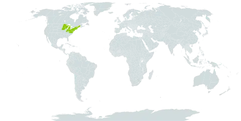 Abies balsamea world distribution map, present in United States of America