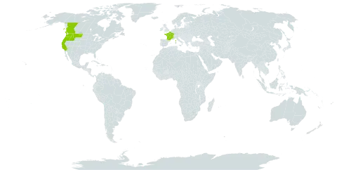 Abies grandis world distribution map, present in Canada, France, and United States of America