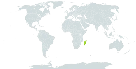 Abrahamia elongata world distribution map, present in Madagascar