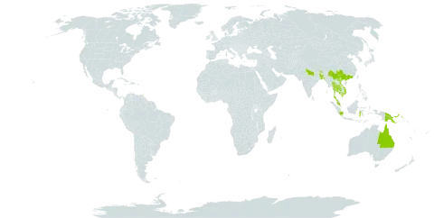 Abroma augustum world distribution map, present in Australia, Bangladesh, Bhutan, China, Micronesia (Federated States of), Indonesia, India, Cambodia, Maldives, Myanmar, Malaysia, Nepal, Philippines, Palau, Papua New Guinea, Thailand, Trinidad and Tobago, United States of America, and Viet Nam