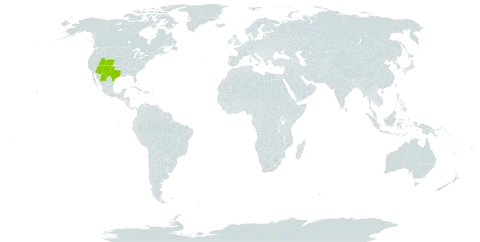 Abronia carnea world distribution map, present in Mexico and United States of America