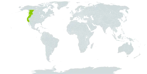 Abronia latifolia world distribution map, present in Canada and United States of America