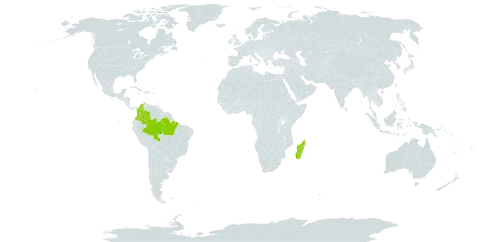 Abrus pulchellus subsp. tenuiflorus world distribution map, present in Brazil, Colombia, and Madagascar