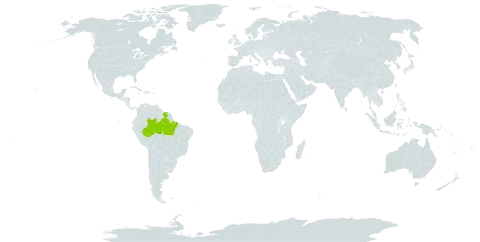 Abuta brevifolia world distribution map, present in Brazil and Suriname