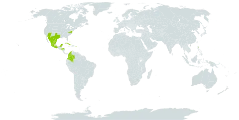 Abutilon abutiloides world distribution map, present in Bahamas, Colombia, Cuba, Honduras, Jamaica, Mexico, Puerto Rico, Turks and Caicos Islands, and United States of America