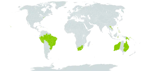 Abutilon auritum world distribution map, present in Australia, Brazil, Guadeloupe, Indonesia, Jamaica, Lao People's Democratic Republic, Martinique, Peru, Philippines, Papua New Guinea, Réunion, United States of America, and South Africa