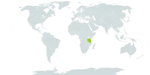 Abutilon grandiflorum var. iringense world distribution map, present in Tanzania, United Republic of