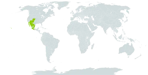 Abutilon incanum world distribution map, present in Mexico and United States of America