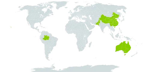 Abutilon indicum world distribution map, present in Australia, Brazil, China, Pakistan, and United States of America