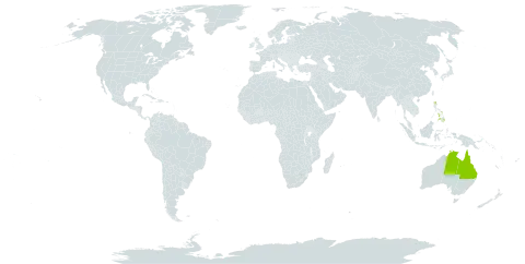 Abutilon indicum subsp. albescens world distribution map, present in Australia, Kiribati, Northern Mariana Islands, Philippines, United States Minor Outlying Islands, and United States of America