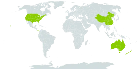 Abutilon world distribution map, present in Australia, China, New Zealand, Panama, and United States of America