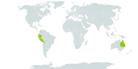 Abutilon mollissimum world distribution map, present in Australia, Bolivia (Plurinational State of), Colombia, Cuba, Ecuador, and Peru