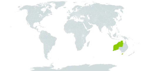 Acacia abbreviata world distribution map, present in Australia