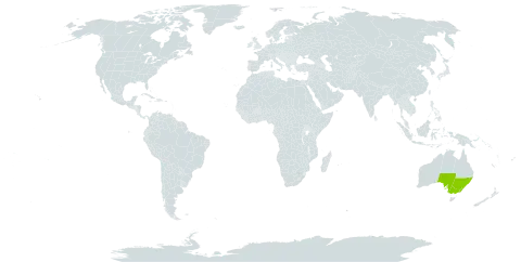 Acacia aculeatissima world distribution map, present in Australia