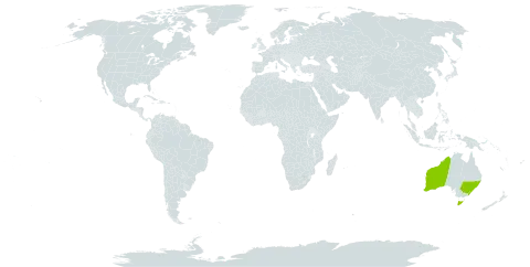 Acacia aculeiformis world distribution map, present in Australia