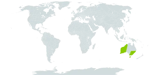 Acacia acuminata world distribution map, present in Australia