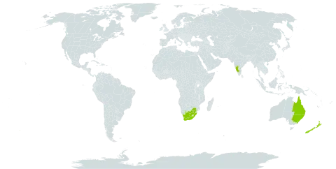 Acacia adunca world distribution map, present in Australia, India, New Zealand, and South Africa