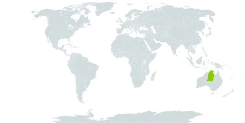 Acacia amanda world distribution map, present in Australia