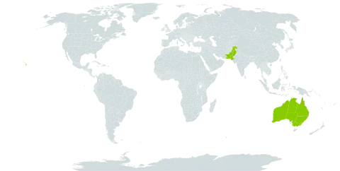 Acacia aneura world distribution map, present in Australia, Pakistan, and United States of America