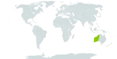 Acacia anfractuosa world distribution map, present in Australia