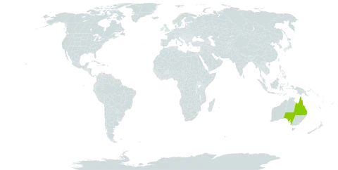 Acacia arbiana world distribution map, present in Australia