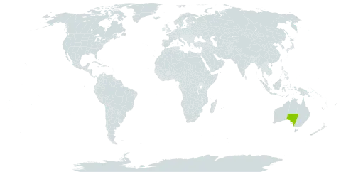 Acacia barattensis world distribution map, present in Australia