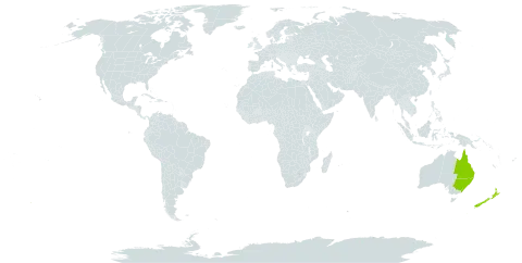 Acacia binervata world distribution map, present in Australia and New Zealand