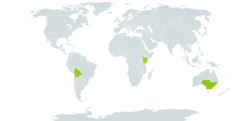 Acacia binervia world distribution map, present in Australia, Bolivia (Plurinational State of), and Kenya