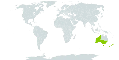 Acacia cardiophylla world distribution map, present in Australia and New Zealand