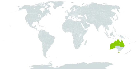 Acacia citriodora world distribution map, present in Australia