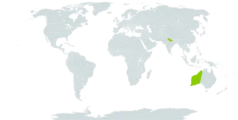 Acacia cochlearis world distribution map, present in Australia and India