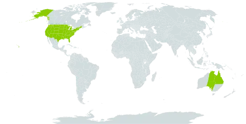 Acacia georginae world distribution map, present in Australia and United States of America