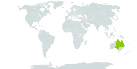 Acacia georginae world distribution map, present in Australia