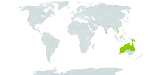 Acacia holosericea world distribution map, present in Australia, Brunei Darussalam, India, Philippines, Papua New Guinea, and Viet Nam