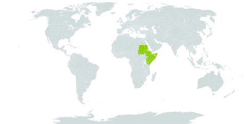 Acacia horrida subsp. benadirensis world distribution map, present in Djibouti, Ethiopia, Kenya, Sudan, Somalia, and Uganda