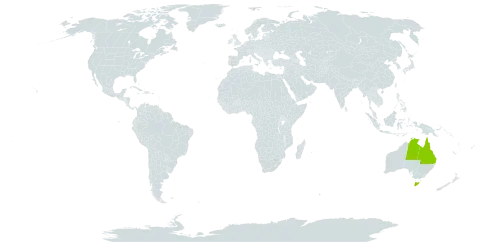 Acacia hyaloneura world distribution map, present in Australia