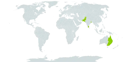 Acacia omalophylla world distribution map, present in Australia, India, and Pakistan